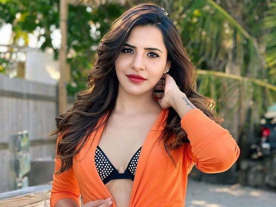 Delightful Looks Of Ashu Reddy